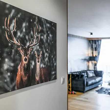 Appartamento Visitzakopane - Helios