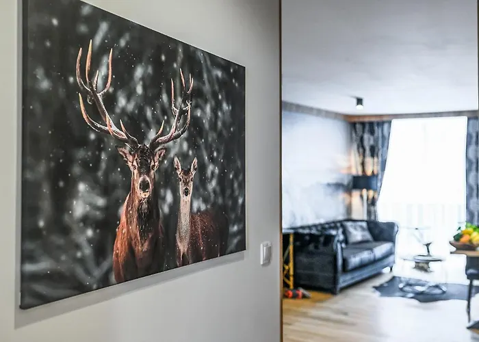 Apartamento Visitzakopane - Helios